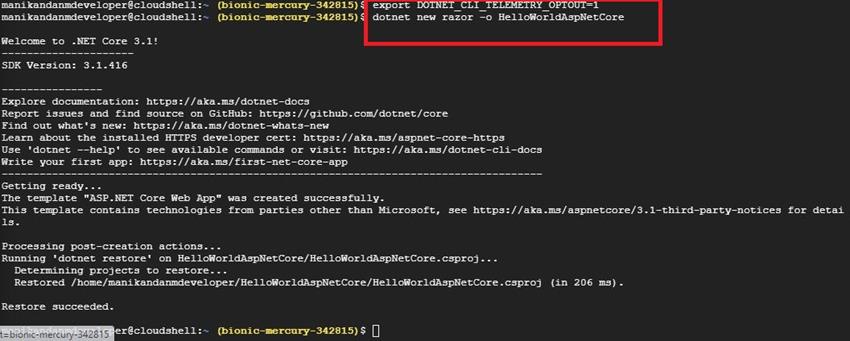 Building and Launching an ASP.NET Core App from Google Cloud Shell